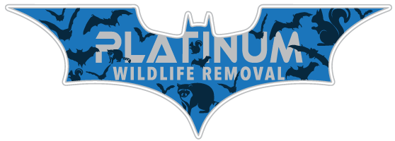 Warsaw Wildlife Control
